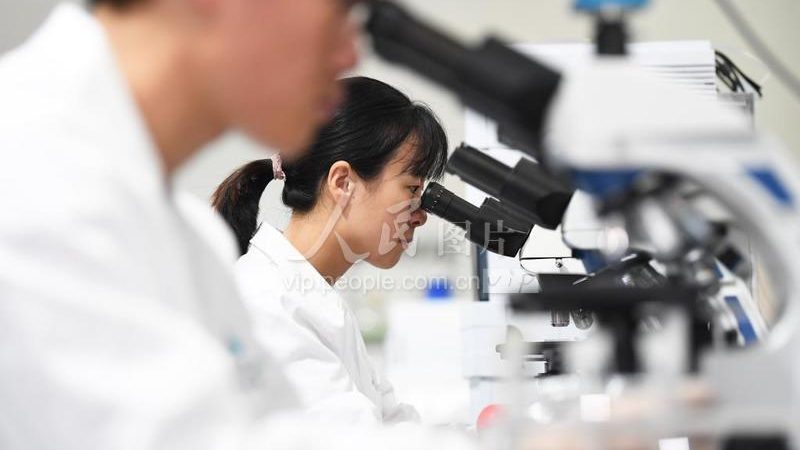 基因测序服务报价差异，核心在于定制化程度
