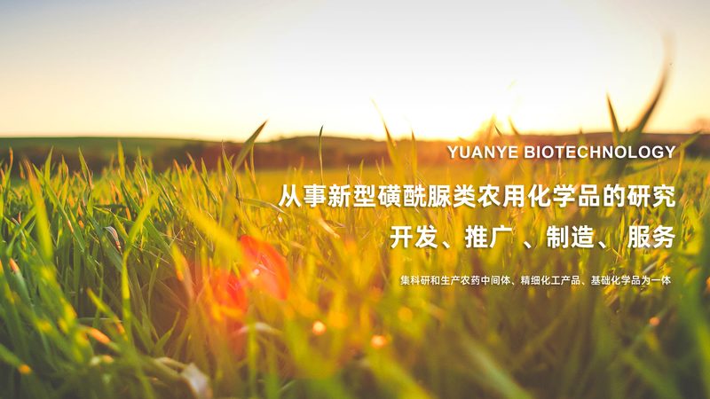 CRO临床代理加盟，揭秘背后的加盟条件与考量