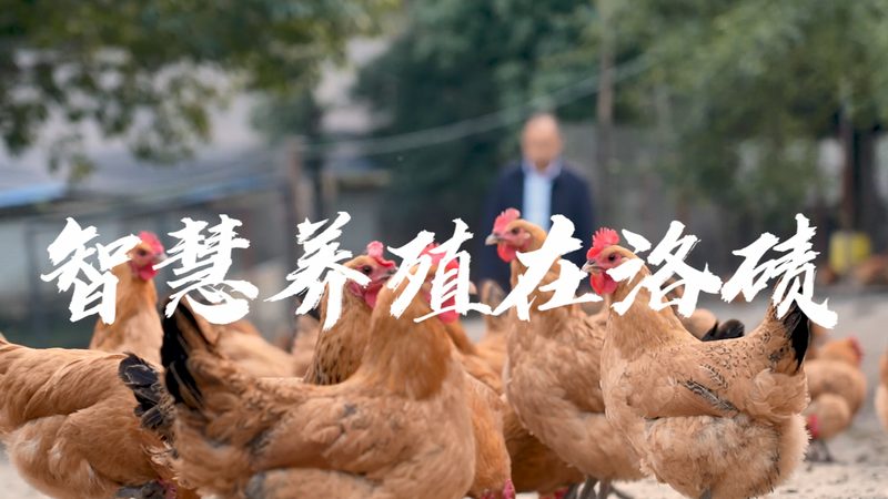 CDMO价格对比：揭秘选择最经济的考量因素