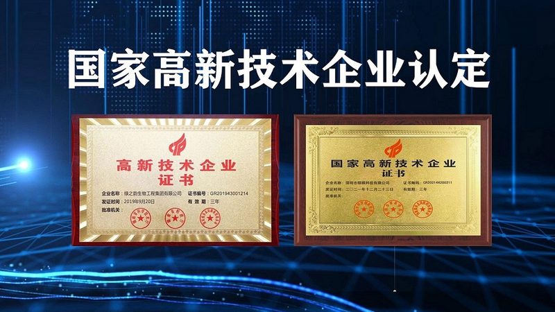CDMO与CMO：项目评估中的关键区别解析
