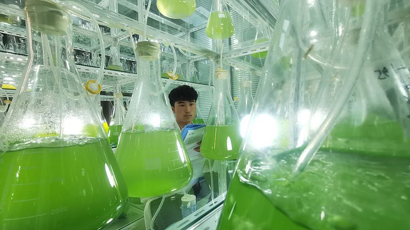 CDMO项目合作模式：揭秘医药研发背后的合作伙伴